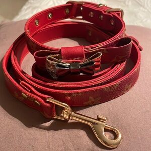 Red Designer Dog Collar & Leash